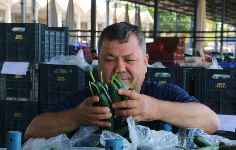 Meyve sebze fiyatlarında yüz güldüren haber geldi İşte domates, salatalık, patlıcanda son durum - Resim: 2