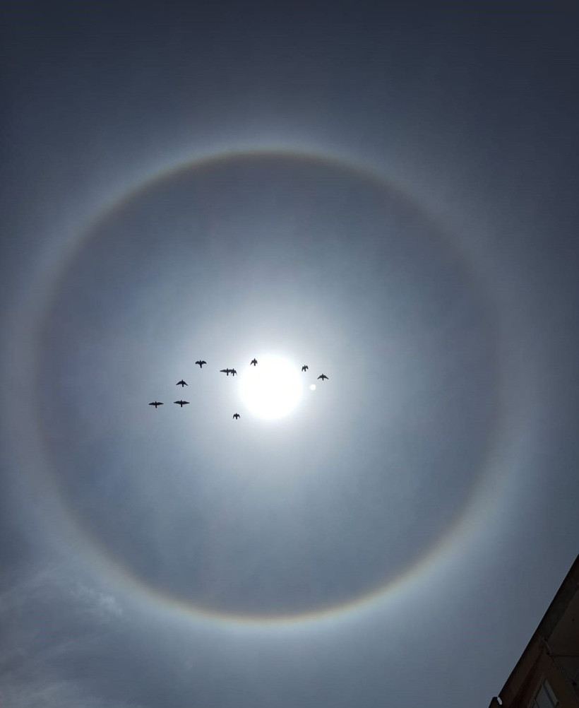 Tokat'ta görülen şaşkınlığa neden oldu! Güneşin etrafındaki halkanın sırrı nedir - Resim: 2