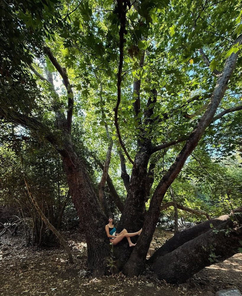 Uzak Şehir'in Pakizesi mayo ile ağaçtan paylaştı! Notu gönderme mi dedirtti... - Resim: 1