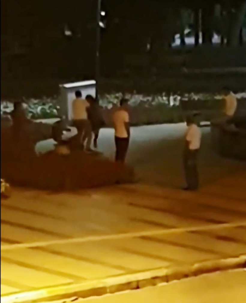 Antalya'da parkta bir kadın tekme tokat dövüldü! Onlar sadece izledi - Resim: 2