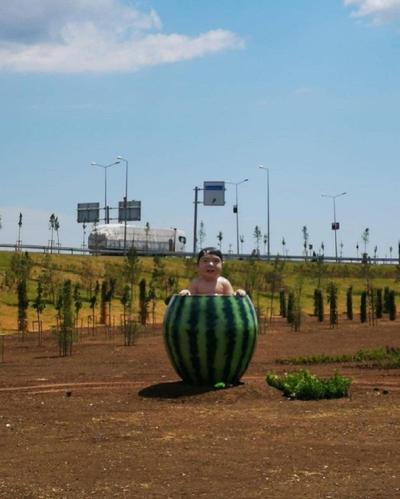 Diyarbakır'da belediyenin yaptırdığı heykeller olay oldu! Sosyal medya çalkalanıyor - Resim: 1