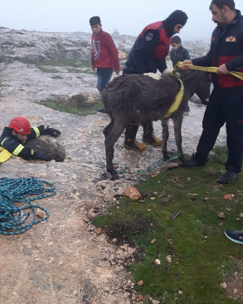 Sarnıca düşen eşek kurtarıldı - Resim: 3