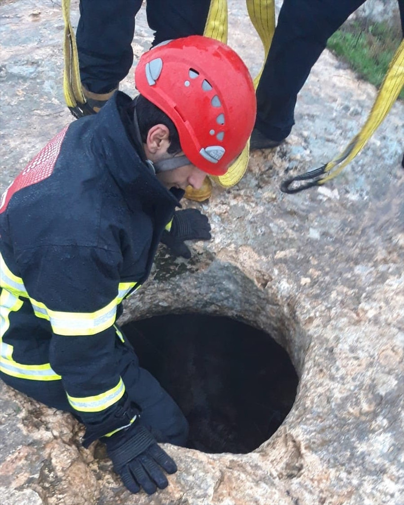Sarnıca düşen eşek kurtarıldı - Resim: 1