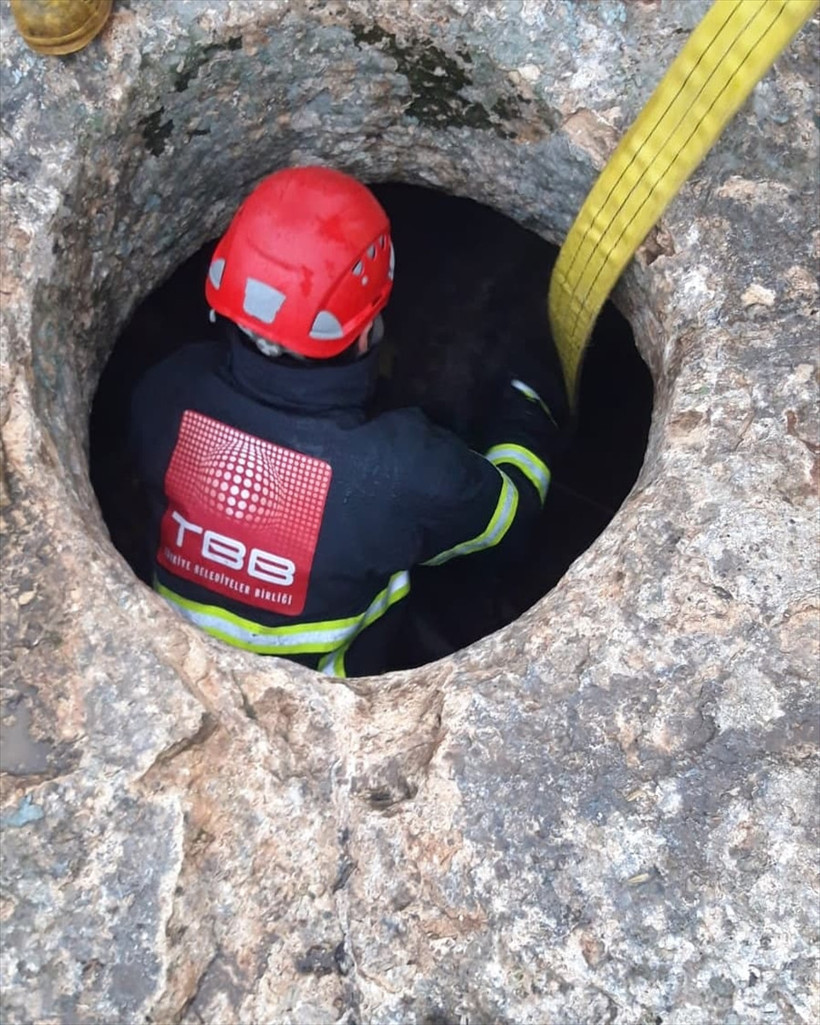 Sarnıca düşen eşek kurtarıldı - Resim: 2
