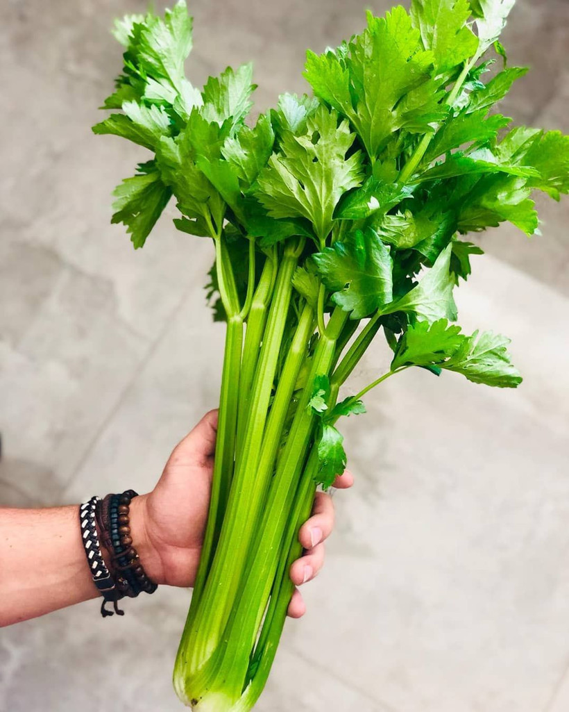 Kereviz suyunun mucizesine bakın - Resim: 4