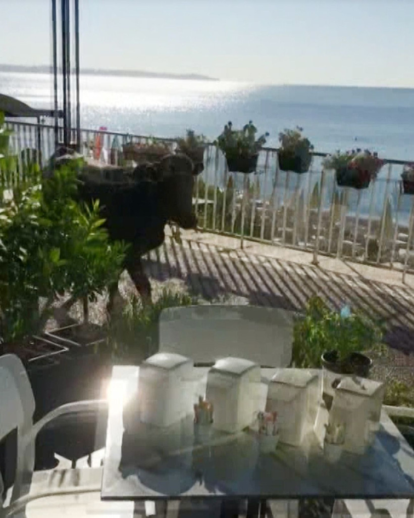 Haluk Levent kesime götürülürken kaçan kurbanlık boğa için devreye girdi - Resim: 2