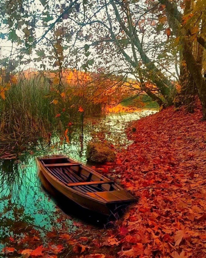 Isparta'da 1970'de korumaya alındı! Gören herkes hayran kaldı - Resim: 3