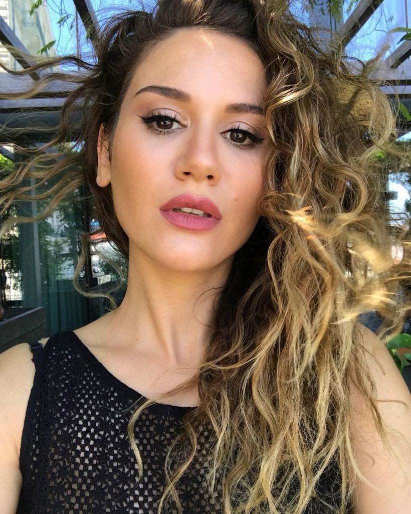 Ünlü oyuncunun köpeği işadamına dehşeti yaşattı! 'Ben saldırıya uğrarken izlediler' - Resim: 3