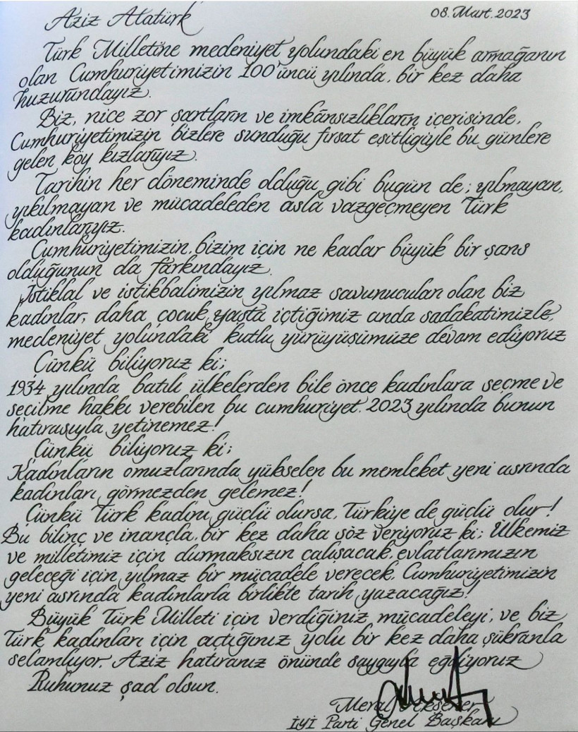 Meral Akşener Anıtkabir'e çıktı asker selamı durdu! Kadınlarla tarih yazacağız - Resim: 4