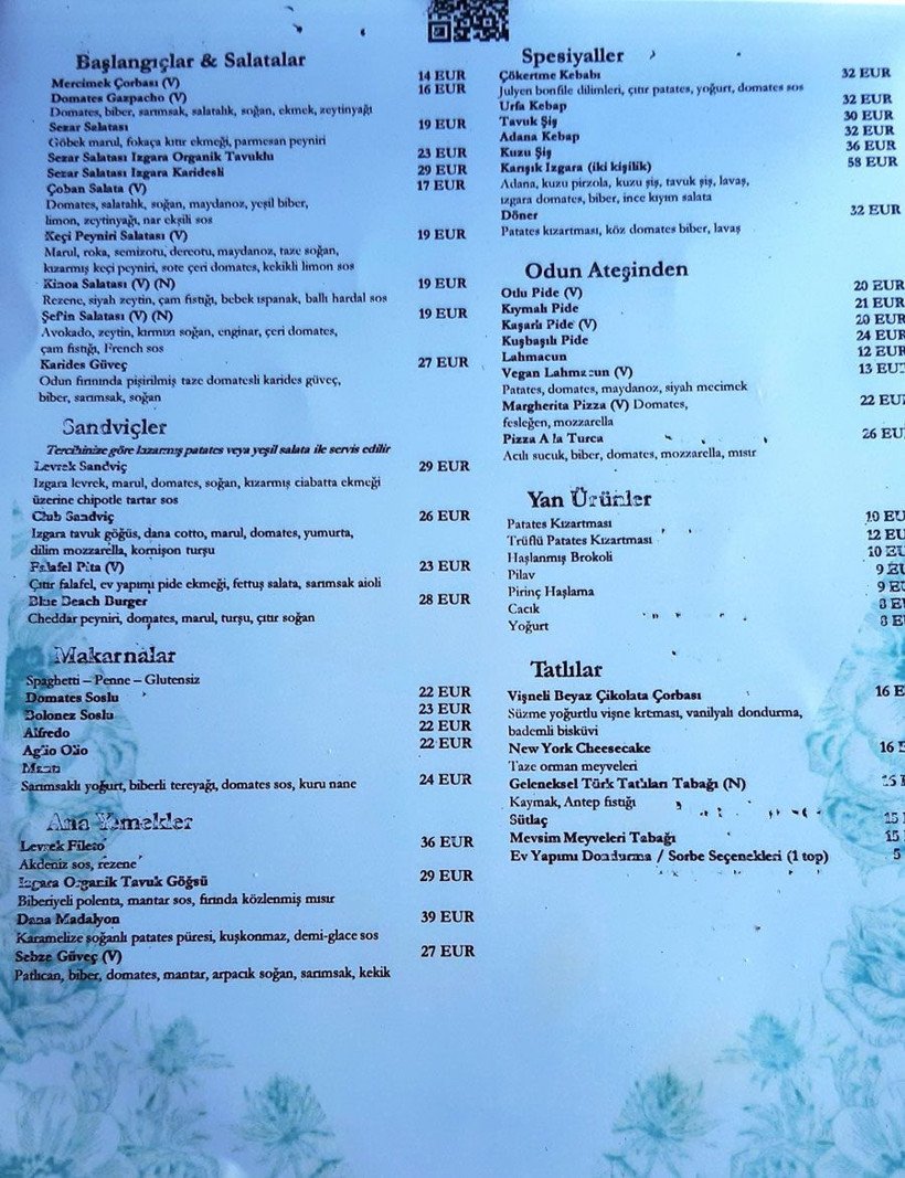 Bodrum'da herkesin konuştuğu restoran görüntülendi çorba 14 euro adana kebabı 32 euro - Resim: 4