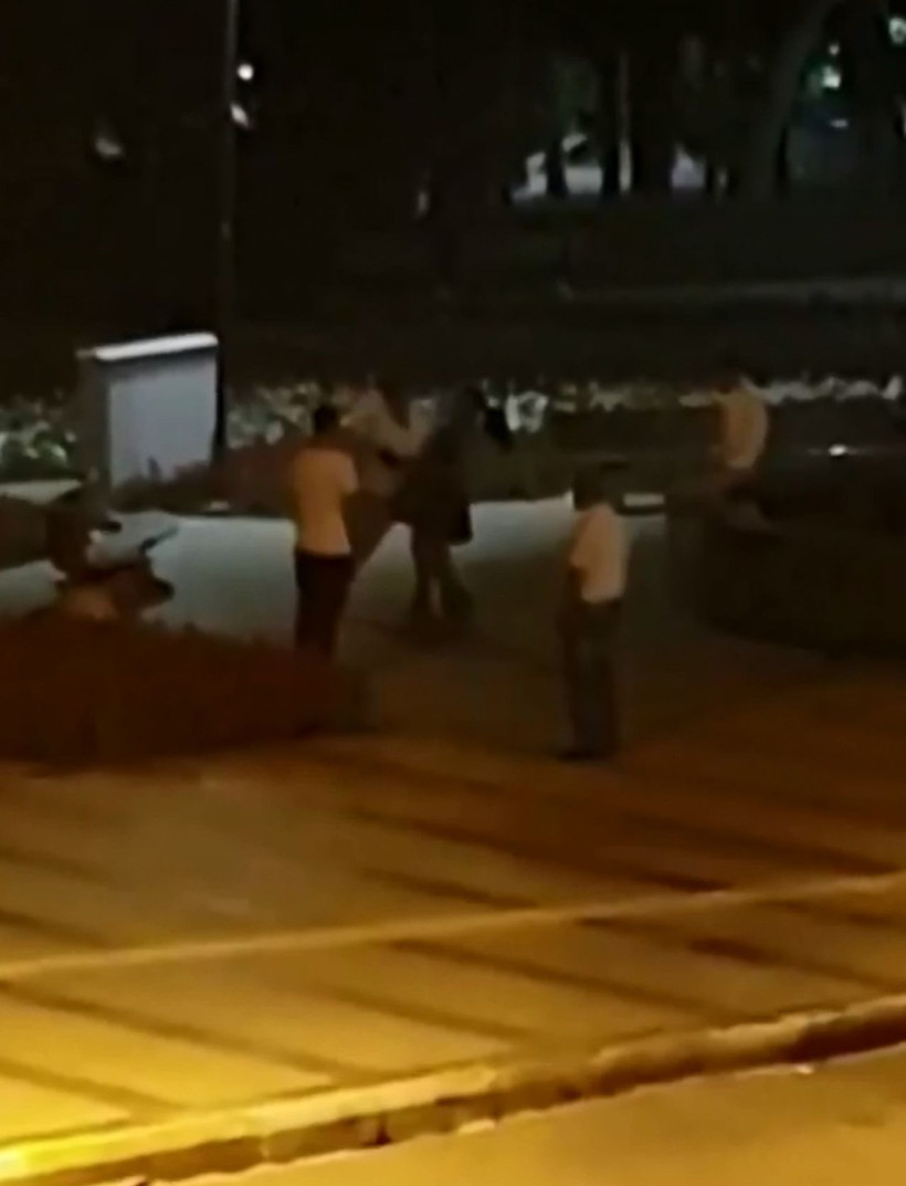 Antalya'da parkta bir kadın tekme tokat dövüldü! Onlar sadece izledi - Resim: 1