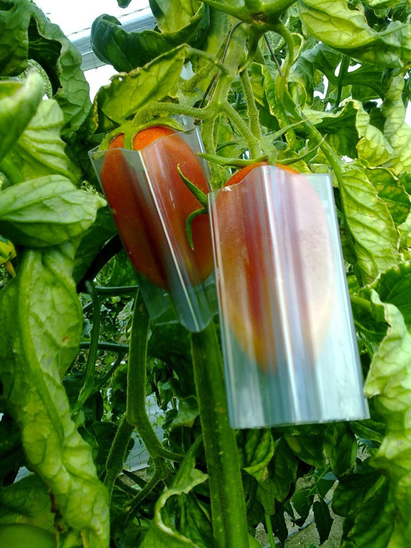 Hobisi sayesinde 7 yıldızlı otellere satış yapıyor - Resim: 4