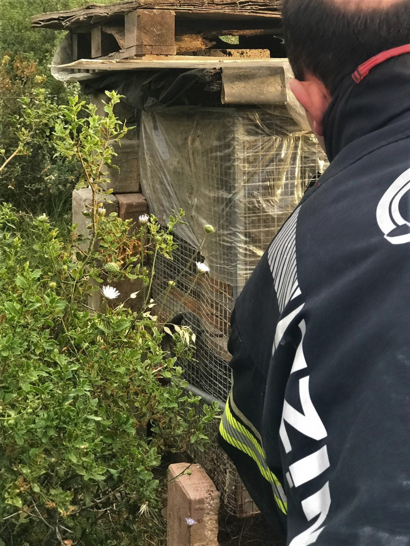 Bu görüntüler Denizli'den! Bir anda tellere sıkışınca... - Resim: 4