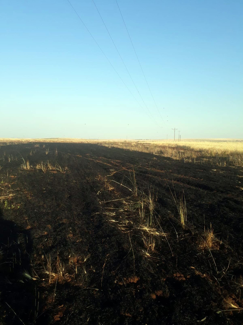Tellere takılınca 20 dönüm buğday tarlası kül oldu - Resim: 1