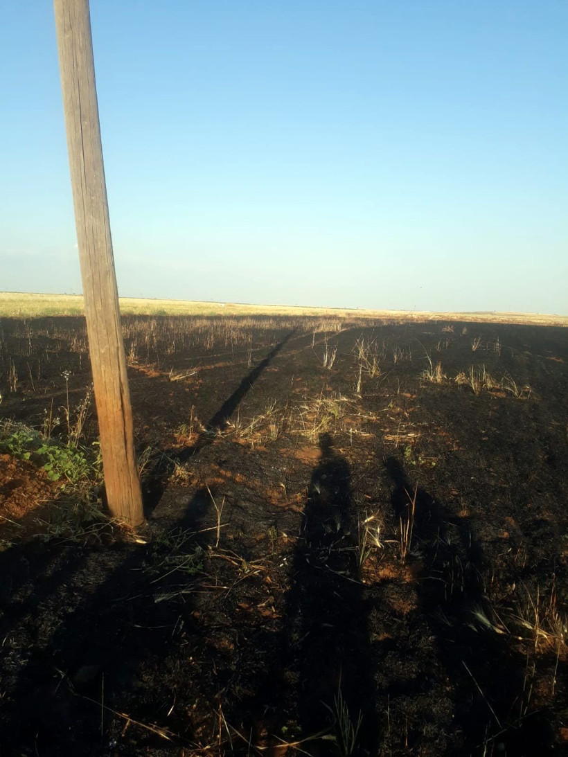 Tellere takılınca 20 dönüm buğday tarlası kül oldu - Resim: 2
