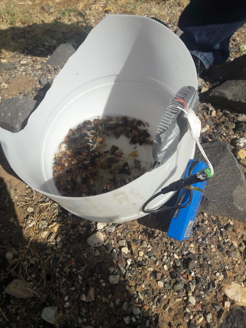 Adıyaman'da yakalandılar İngiliz ve İtalyan profesör yurt dışına kaçıracaktı - Resim: 3