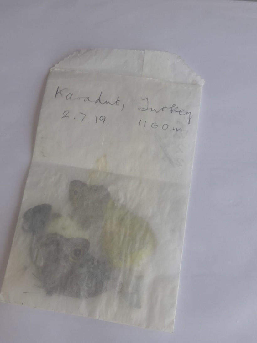 Adıyaman'da yakalandılar İngiliz ve İtalyan profesör yurt dışına kaçıracaktı - Resim: 4