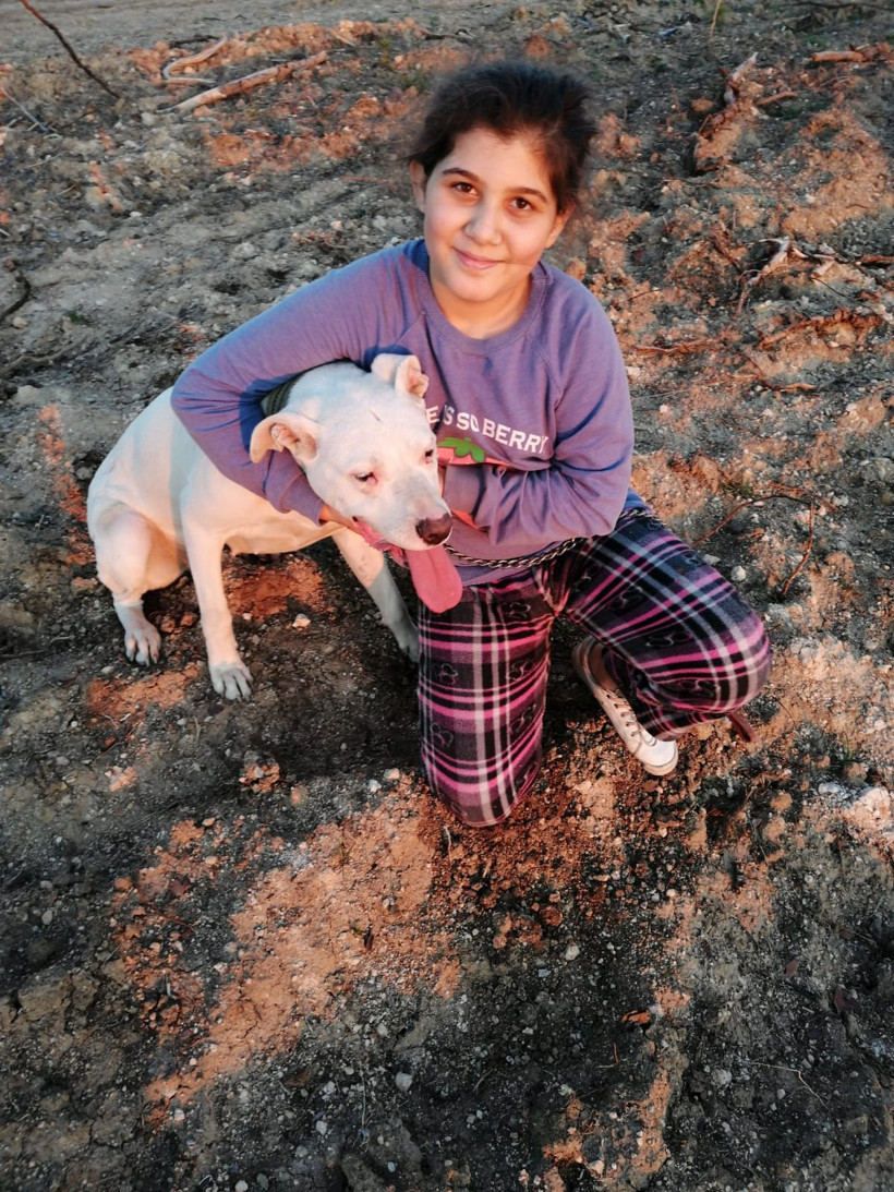 Terapi köpeği 'Mandalina'ya komşu kurşunu! Sena öldüğünü bilmiyor! - Resim: 1