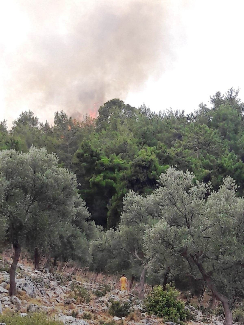 Muğla'da yeni yangın! Yerleşim yerlerini tehdit ediyor - Resim: 4