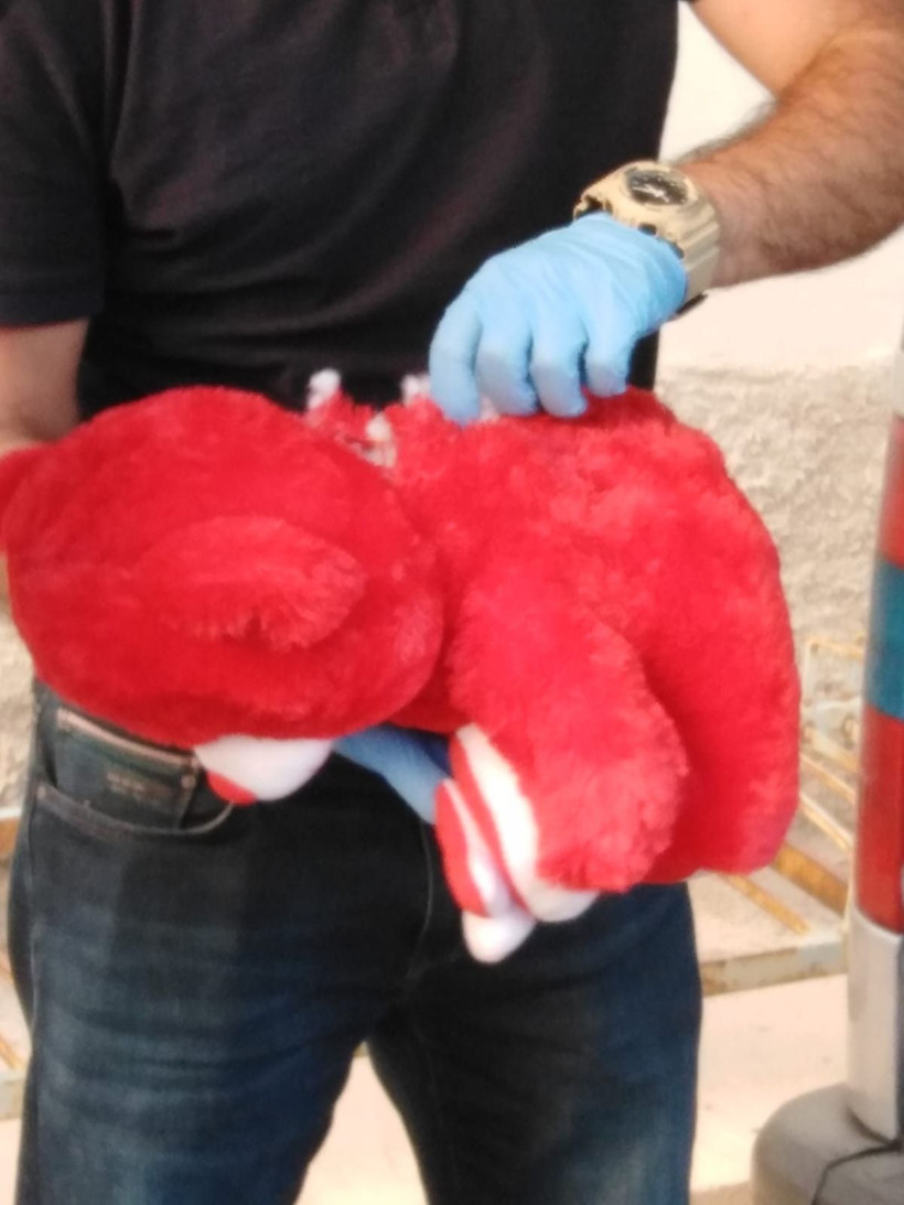 Konya'da oyuncak ayının içinden 500 gram patlayıcı çıktı polis şaştı kaldı - Resim: 1