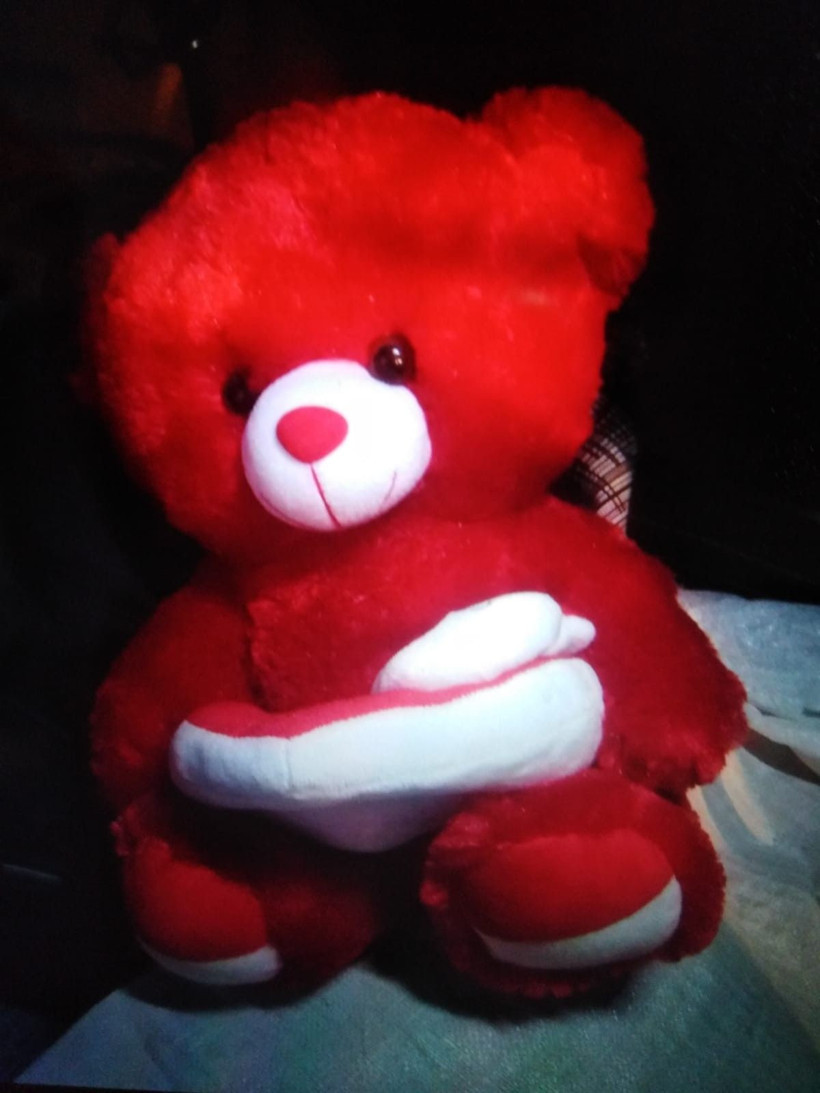 Konya'da oyuncak ayının içinden 500 gram patlayıcı çıktı polis şaştı kaldı - Resim: 4