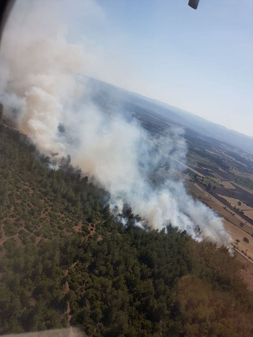 Marmara Adası ve Burgazada'da orman yangını - Resim: 3