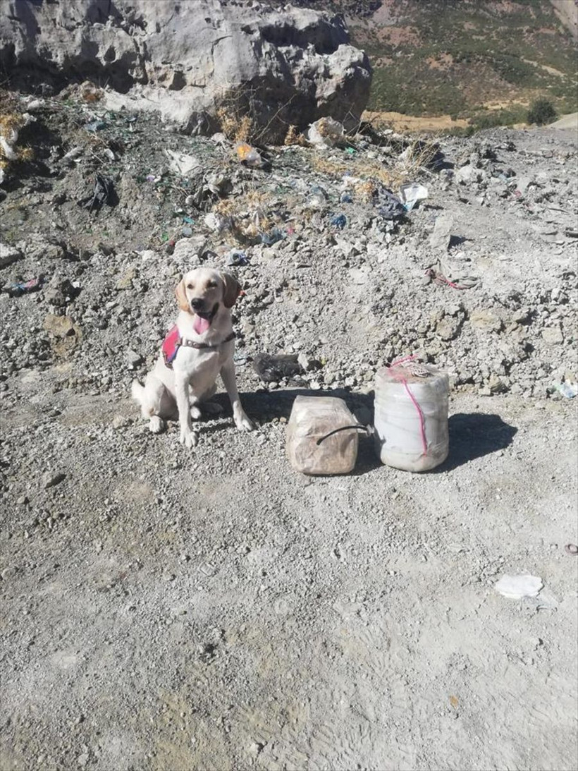 Siirt Pervari'de askerin dikkati büyük bir faciayı önledi - Resim: 2