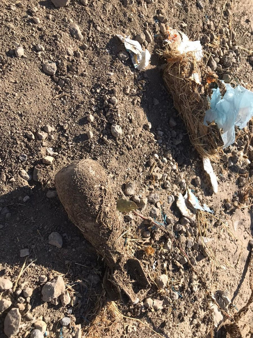 Siirt Pervari'de askerin dikkati büyük bir faciayı önledi - Resim: 4