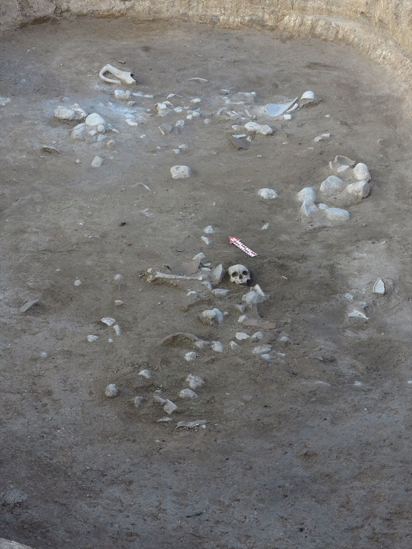 Çorum'da 3500 yıllık insan kafatası ve uyluk kemiği bulundu - Resim: 3