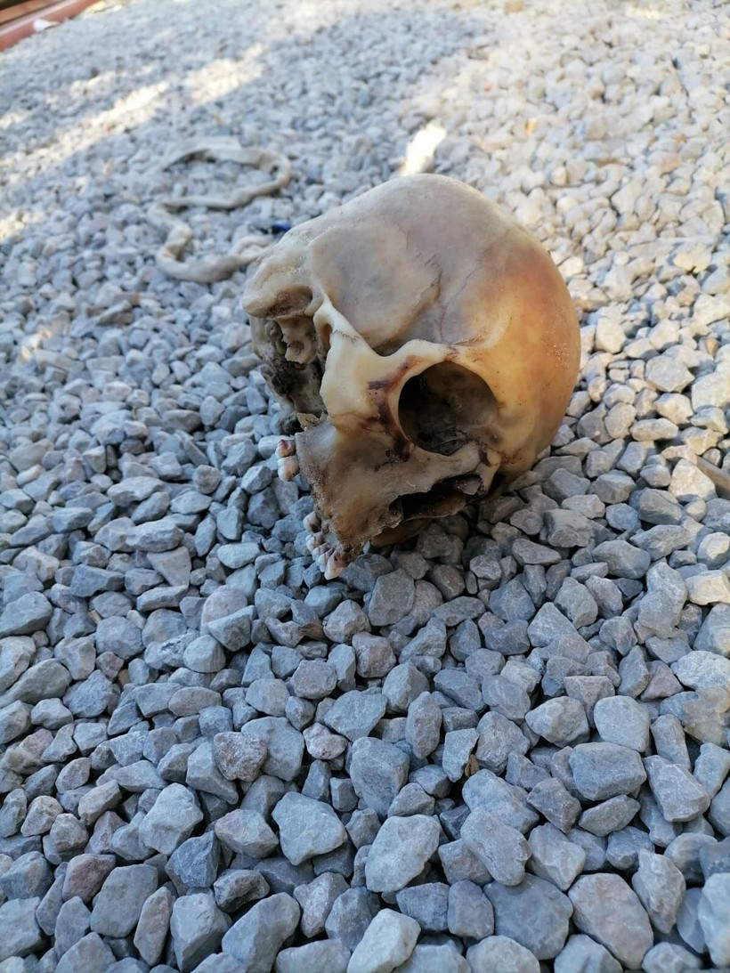 Bodrum'da köpeğin bulduğu kafatası ve kaval kemiği şok etti! Sırrı DNA testi çözecek - Resim: 3