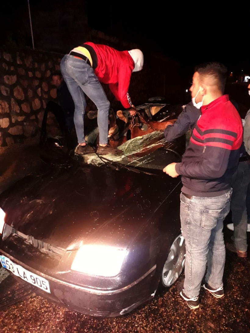 Adıyaman'da otomobilin çarptığı at aracın içine girdi - Resim: 4