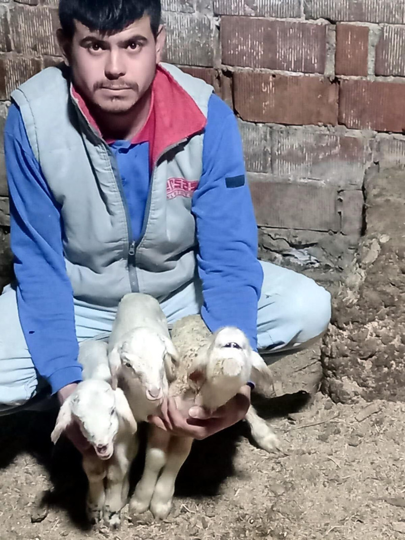 Manisa'da farklı yüz yapısıyla doğan kuzu 2 gün yaşayabildi - Resim: 2