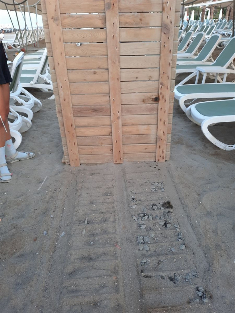 Antalya'da bir otelin ahşap yürüme yoluna sıkışan 60 caretta caretta yavrusu ölü bulundu - Resim: 4