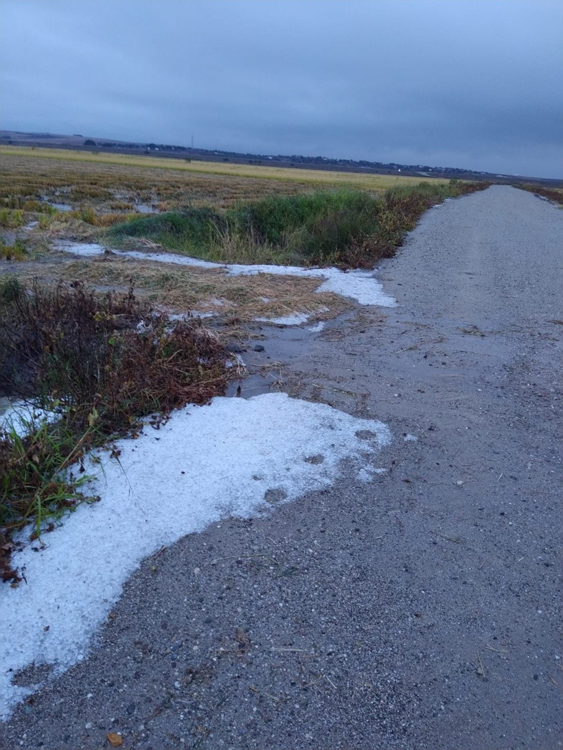Edirne'de ceviz büyüklüğünde dolu yağdı! Masayı tenteyi deldi geçti - Resim: 2