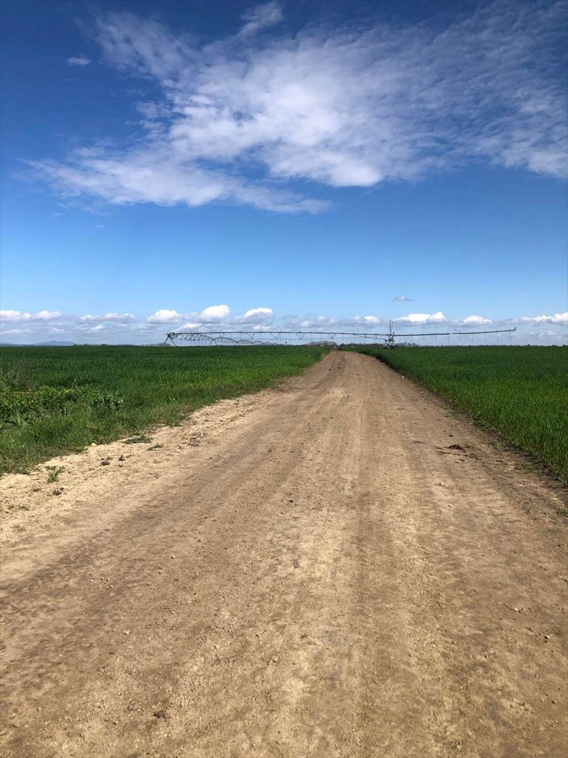 Mohaç Meydan Savaşı'nın yapıldığı alan tespit edildi - Resim: 1