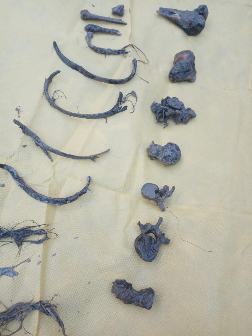 Tam bir vahşet! 16 yıl önce kayıp ihbarı yapılan kadının parçalanmış cesedi bulundu katili de... - Resim: 4