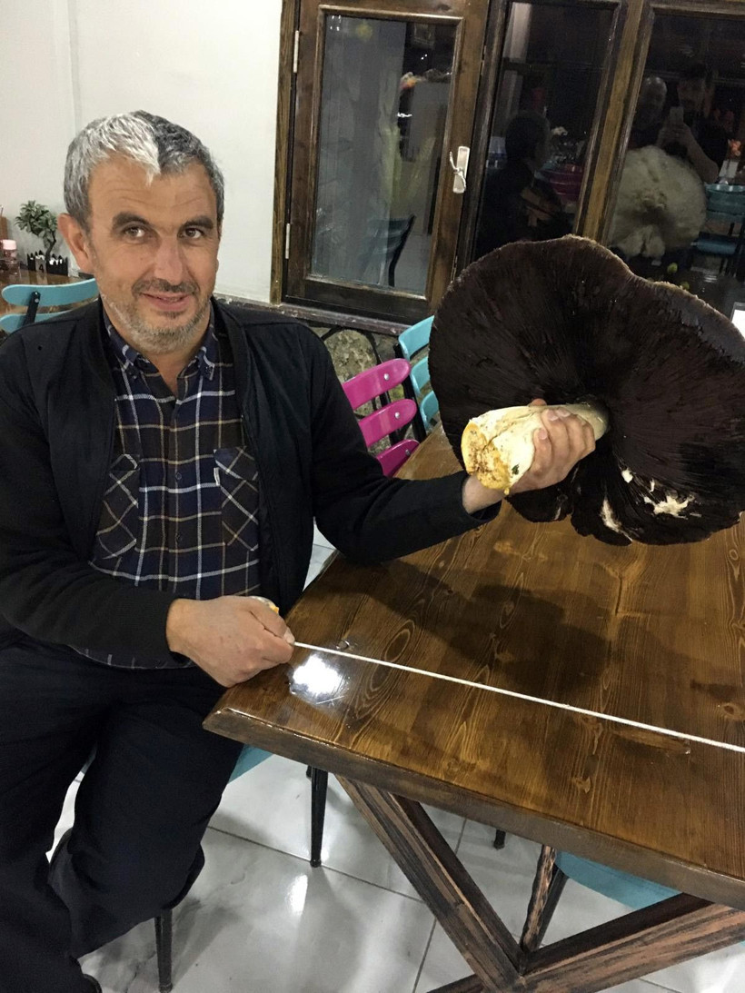 Görenler şaşkına dönüyor! Bu kadar büyüğü daha önce hiç görülmedi - Resim: 3