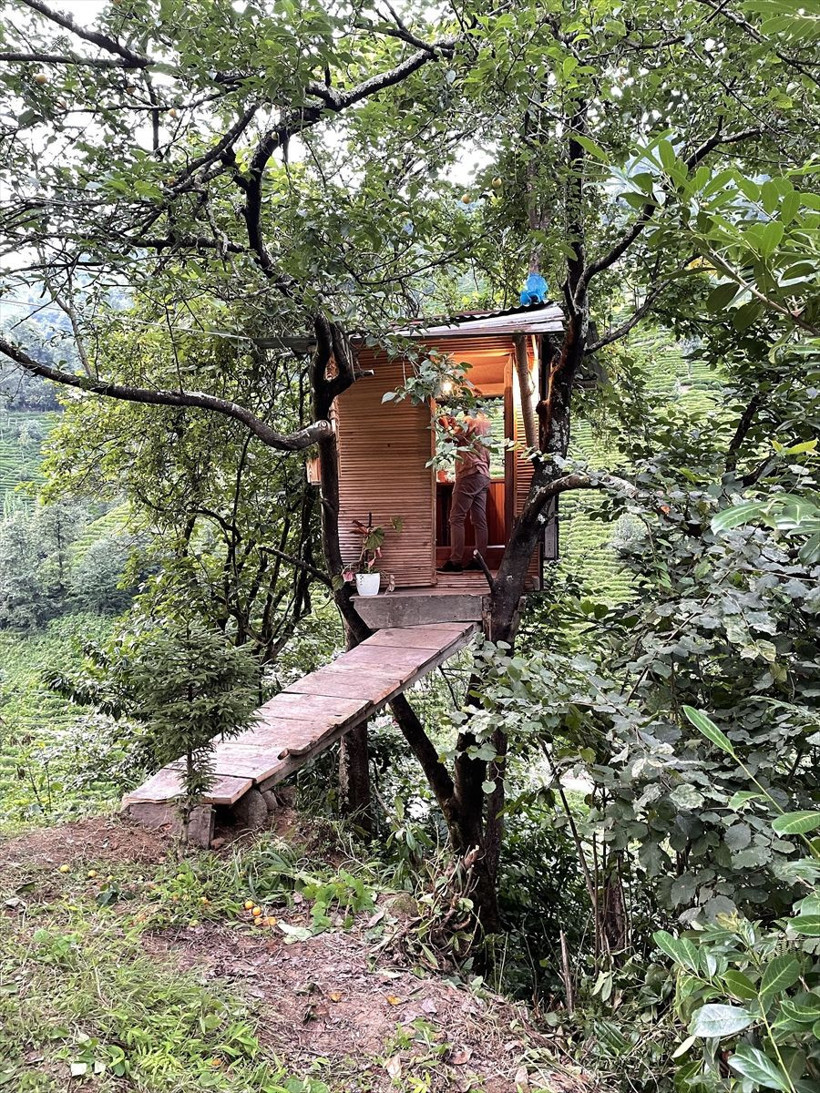 Rize'de 700 liraya yerden 20 metre yüksekte ev yaptı - Resim: 2