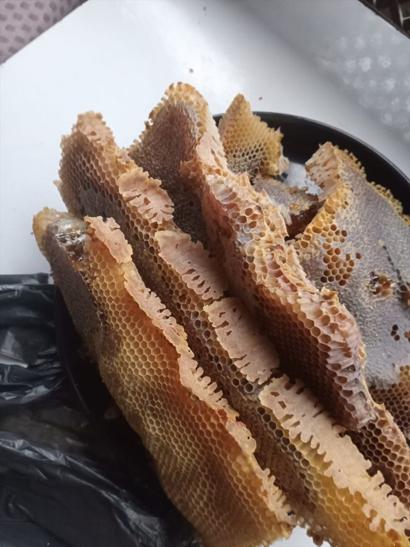 Arılar valize petek yaptı, 8 kilogram bal çıktı! - Resim: 2