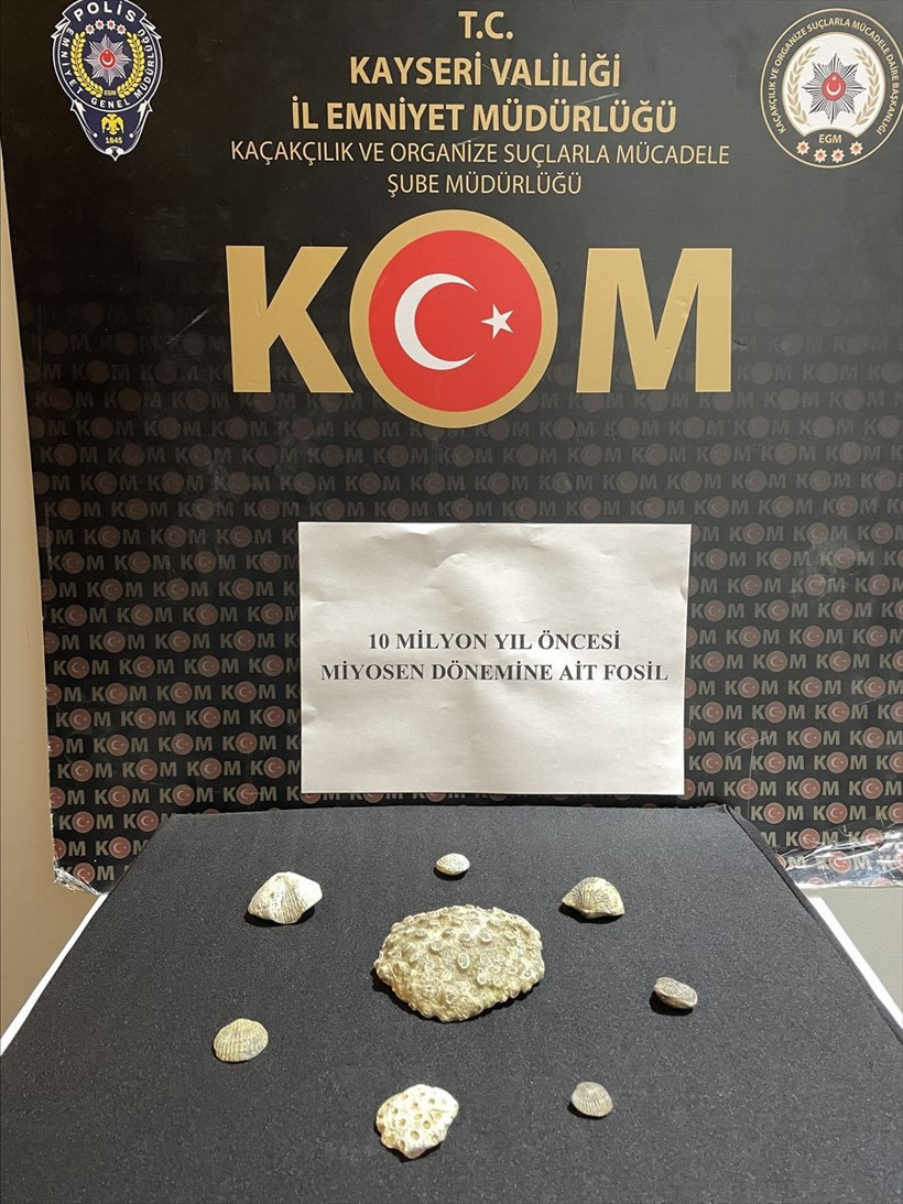 Kayseri'de ele geçirildi 10 milyon yıllık çıktı müzeye kaldırıldı - Resim: 4