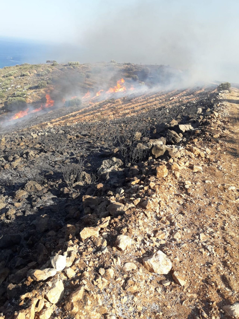 Korkulan oldu! Datça’da makilik yangını sürüyor - Resim: 1