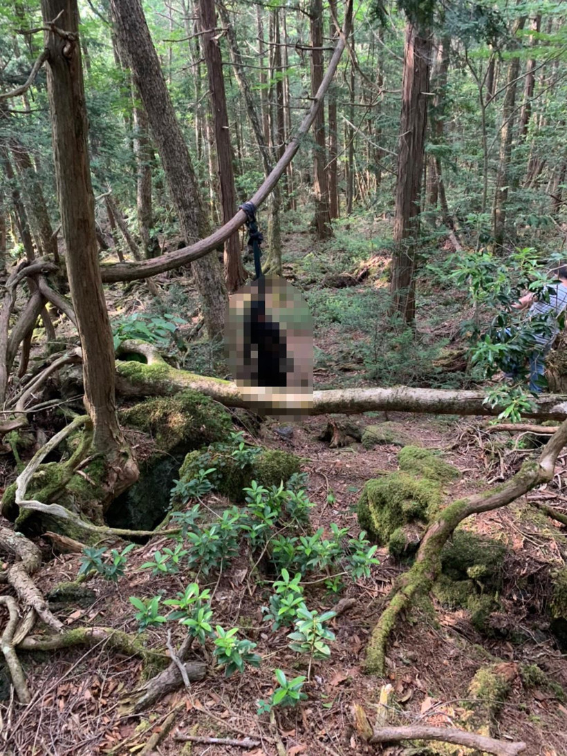 Japonya'daki intihar ormanında iki ceset bulundu! Türkler ihbar etti - Resim: 4