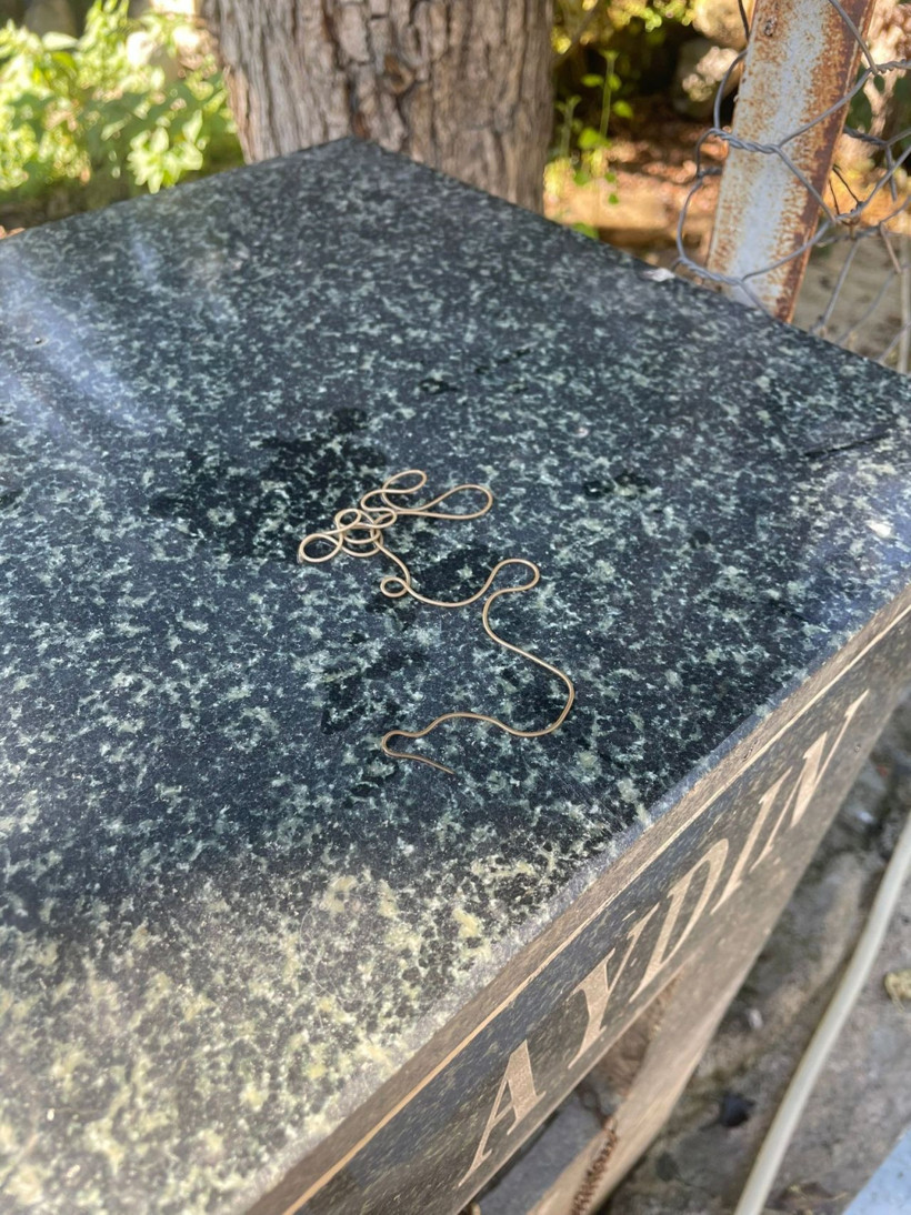 Köy çeşmesinde görülen ilginç canlı merak konusu oldu: Ne başı ne sonu belli - Resim: 1