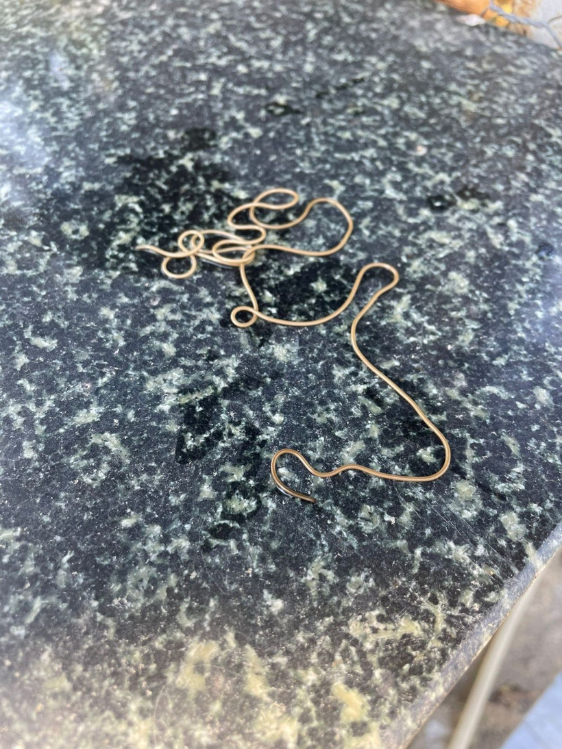 Köy çeşmesinde görülen ilginç canlı merak konusu oldu: Ne başı ne sonu belli - Resim: 3