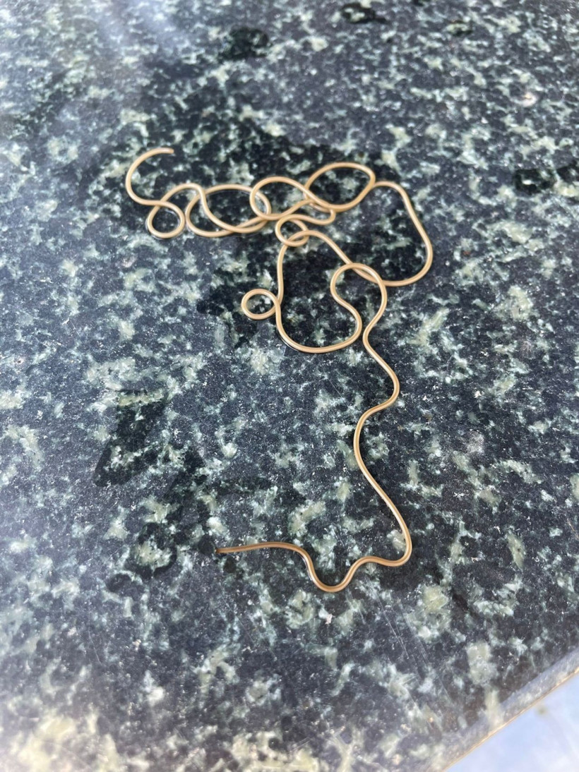 Köy çeşmesinde görülen ilginç canlı merak konusu oldu: Ne başı ne sonu belli - Resim: 4