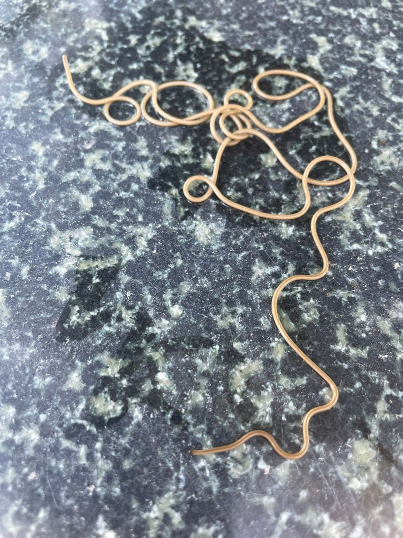 Köy çeşmesinde görülen ilginç canlı merak konusu oldu: Ne başı ne sonu belli - Resim: 2