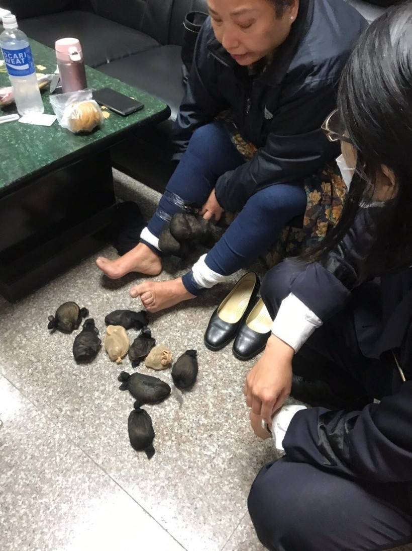 Kadının pantolunundan tam 24 tane fare çıktı böyle şey görülmedi - Resim: 2