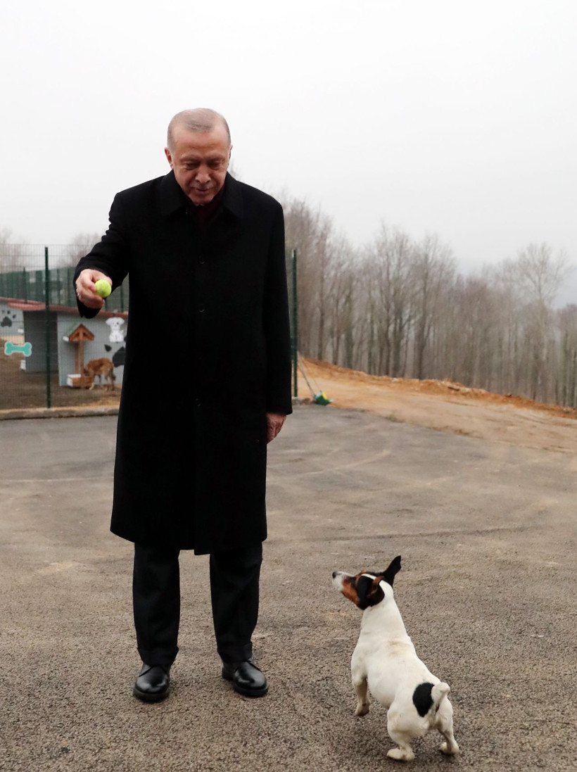 Cumhurbaşkanı Erdoğan'ı görünce bir anda ortaya çıkmış  İşte acıklı hikayesi... - Resim: 2
