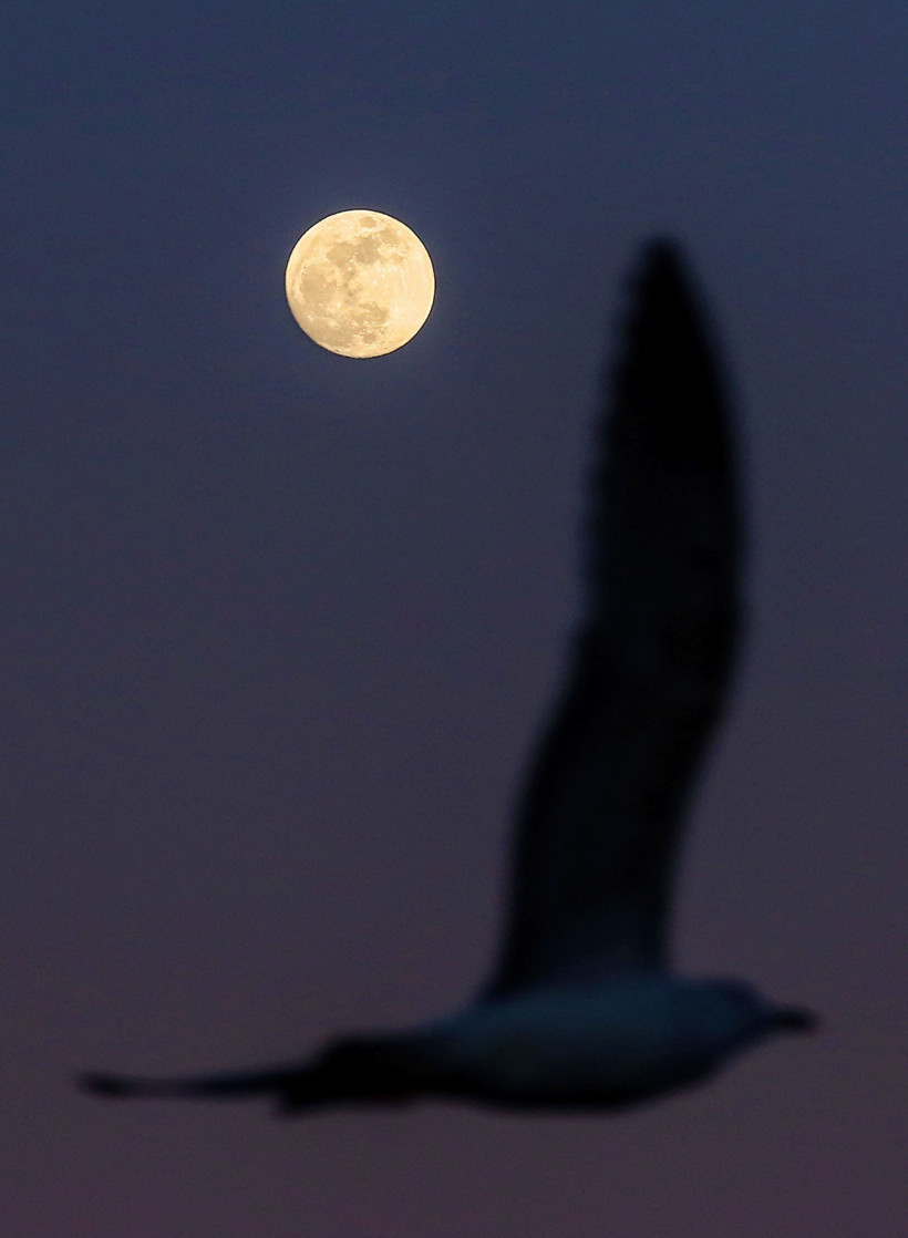 Türkiye'den muhteşem dolunay görüntüleri - Resim: 3