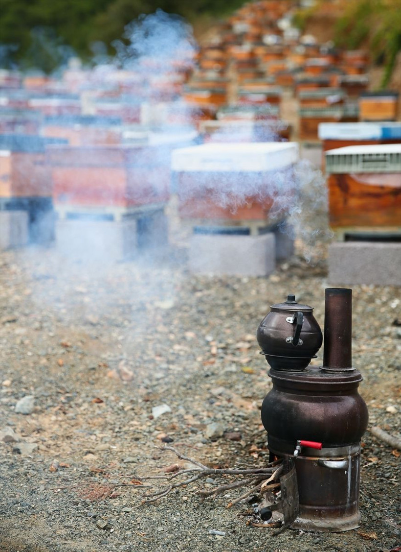 İzmir'de memurluktan vazgeçip bu işe başladı! Paraya para demiyor: 2'den 450'ye çıkardı - Resim: 4